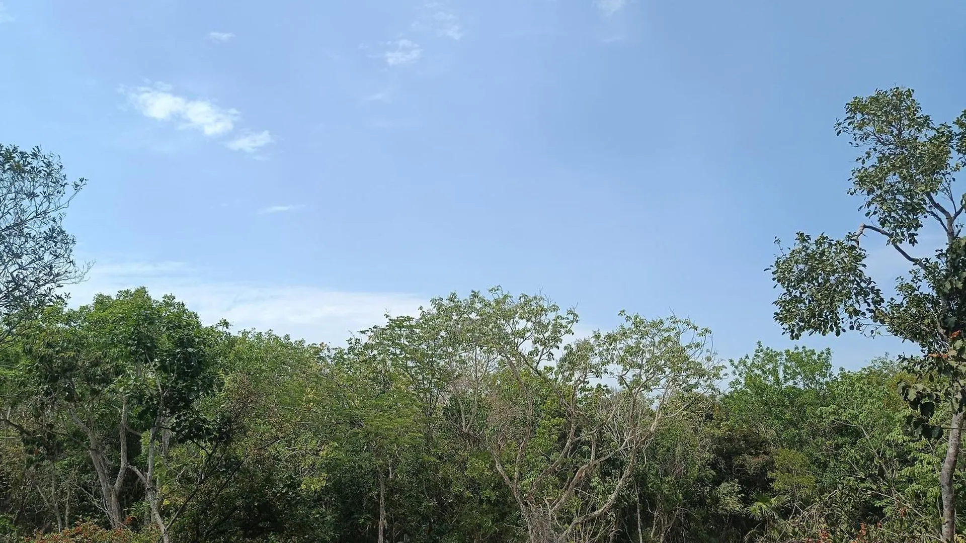 Departamento De 1 Hab Con Balcon En Zona Hotelera Ad Tulum 0*,  Mexico